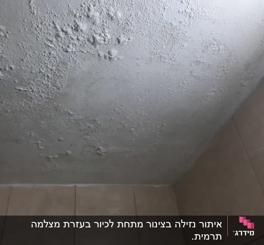 תקרה עם סימני רטיבות ועובש, קיר עם אריחים